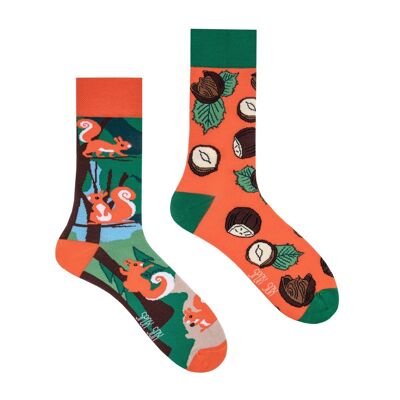 Lässige Socken - Eichhörnchen