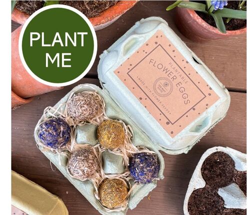 Easter Egg Box Seed Bomb Gift for Gardeners - Grow Your Own Flowers