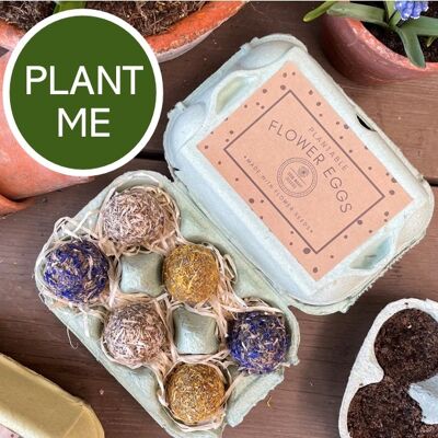 Easter Egg Box Seed Bomb Gift for Gardeners - Grow Your Own Flowers