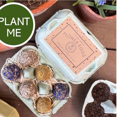 Cadeau de bombe de graines de boîte d'oeufs de Pâques pour les jardiniers - Cultivez vos propres fleurs