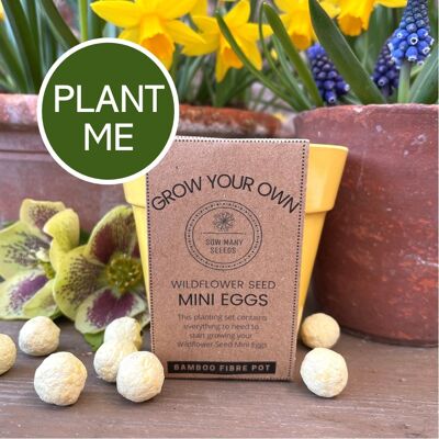 Mini bomba de semillas de huevo de Pascua, cultiva tu propio juego de flores silvestres
