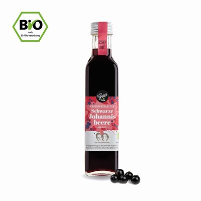 Gepp's Bio Essigspezialität Schwarze Johannisbeere, 250 ml