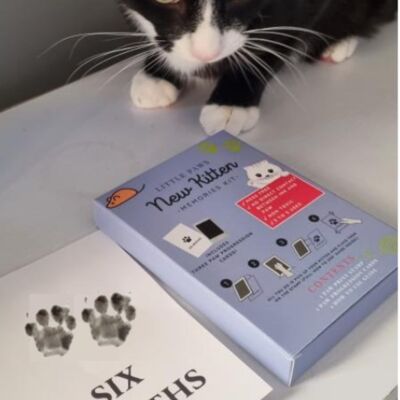 Nouveau kit de souvenirs de chaton
