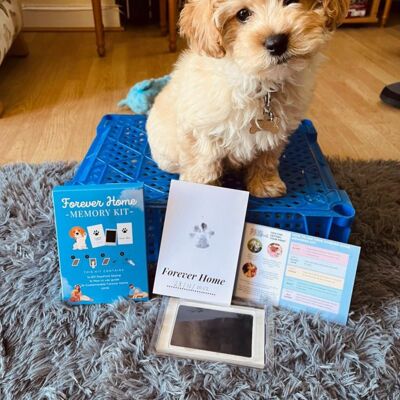 Nouveau kit d'adoption de chien : tampon PawPrint sans gâchis et 2 cartes « Forever Home »