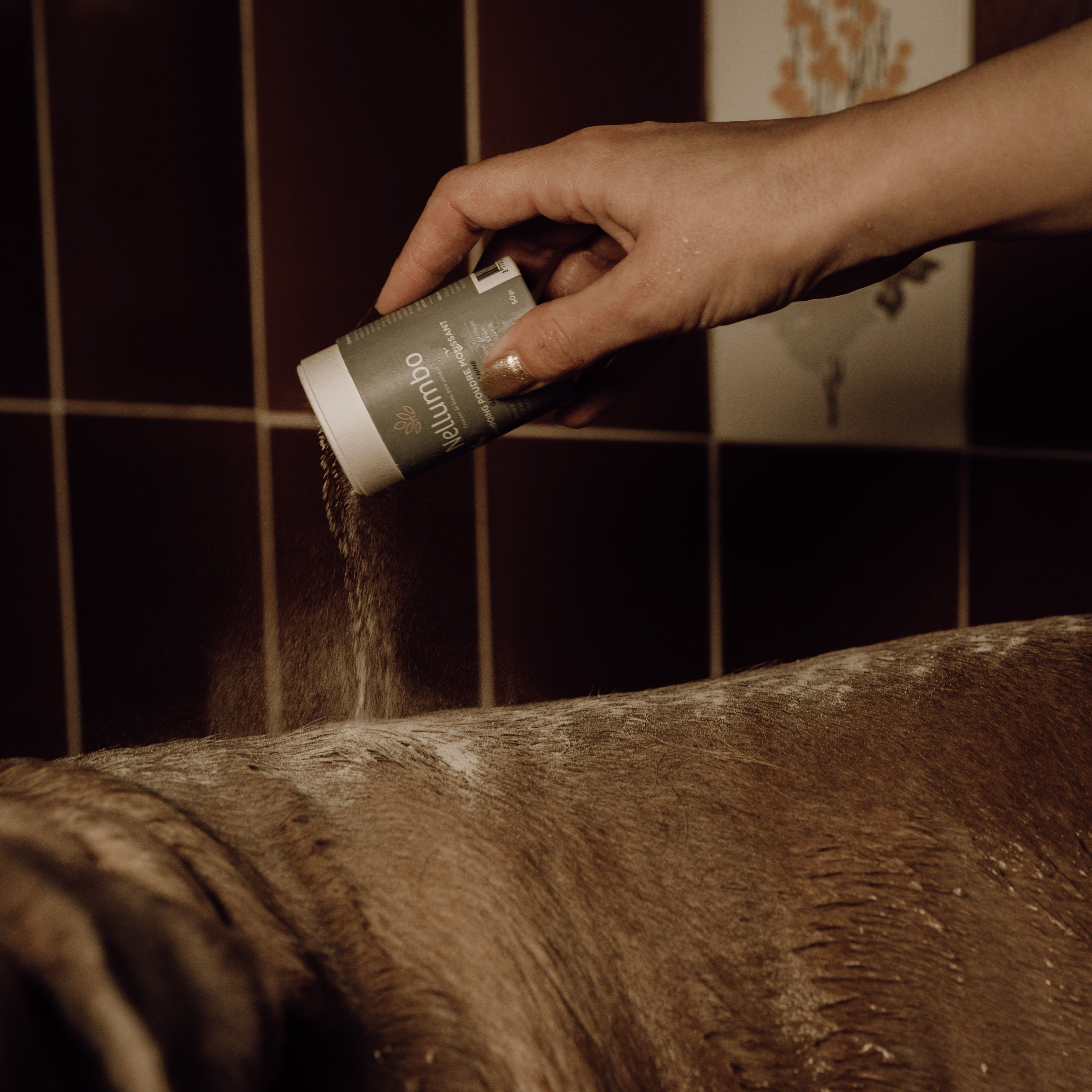 Shampoing pour chien poudre moussante - Nellumbo