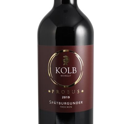 2020 Pinot Noir PROBUS sec