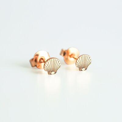 Shell earrings - SUMMER