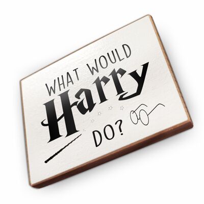 Magnet made of beech wood | what would harry do