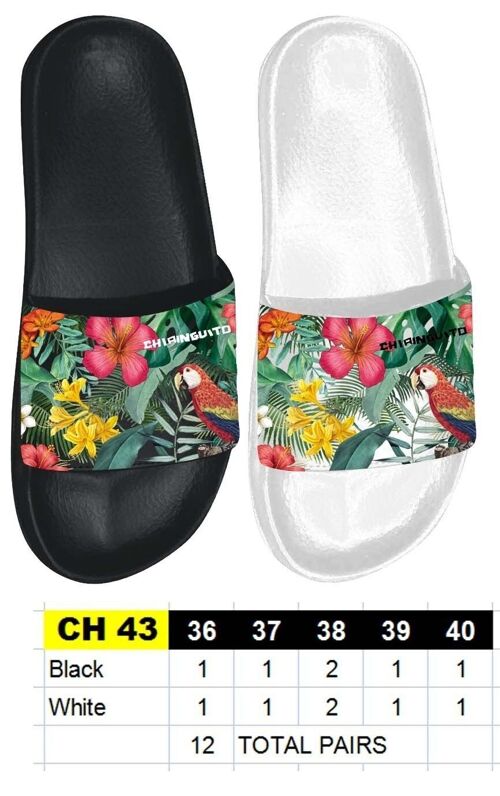 Claquettes Femmes CHIRINGUITO - Taille 36 à 41 - 2 couleurs - 12 paires