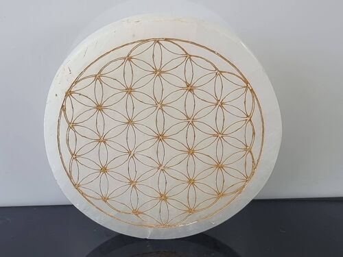 Etched Selenite Crystal Charging Plate Golden Flower Grid