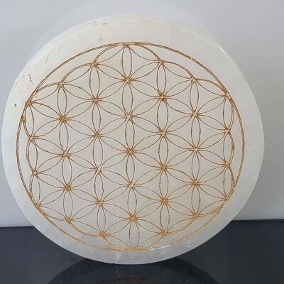 Plaque de charge en cristal de sélénite gravé Grille de fleurs dorées