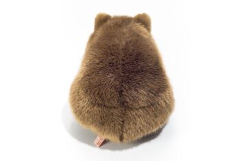 Wombat 26 cm - peluche - peluche 5