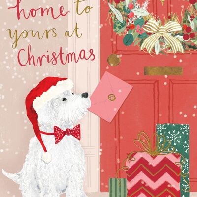 Nuestro hogar para el tuyo Navidad para perros