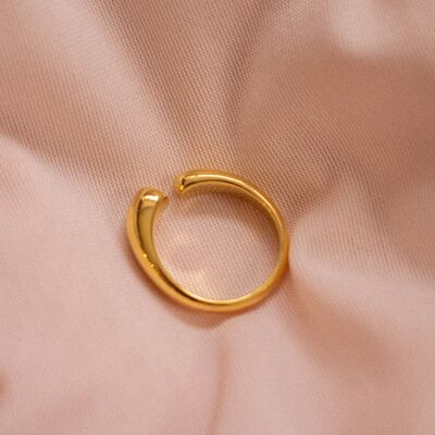 “Iwana” Sprial Ring