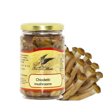 Chiodini-Pilze in Öl