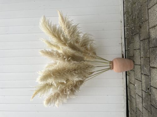 Buy wholesale XL fluffy flower, CREAM grass, pampas frond, 120cm naturally dried pampas large boho fluffy grass, grass pampas dried pampas