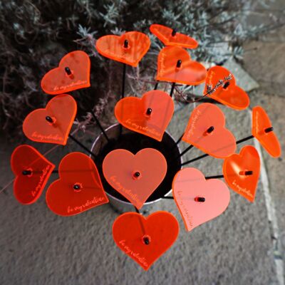 Cœurs gravés brillants « Be My Valentine » x 15 piquets décoratifs pour la Saint-Valentin 25 cm de haut Plus présentoir de vente SunCatcher Peggy Pot
