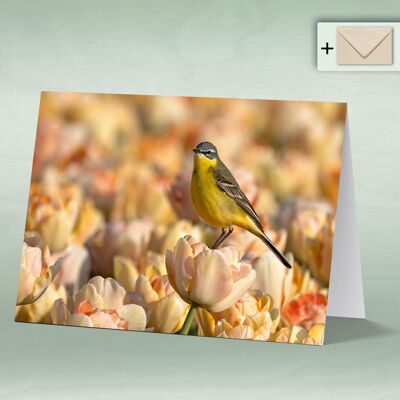 Greeting card, double card 8157