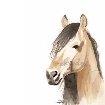 ILLUSTRATION Cheval 1