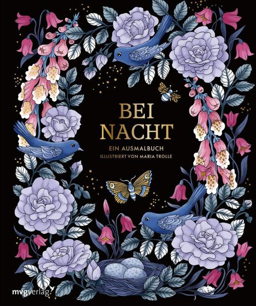 Bei Nacht – Ein Ausmalbuch (Malbuch, Kunst, Erwachsene, Zeichnen, Malen, Ausmalen, Entspannung)