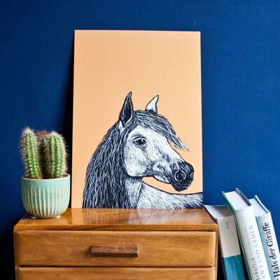 Posters | Horse