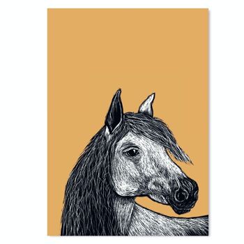 Affiches | Cheval 2