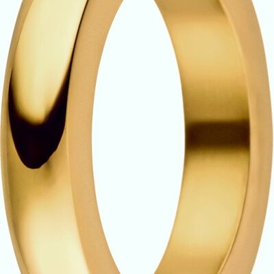 Insertion ring inside 3 mm steel domed polished gold