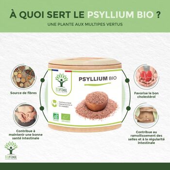 Psyllium Blond Bio - Complément alimentaire - Téguments - Digestion Transit Cholestérol - 320 mg de Poudre/Gélule - Fabriqué en France - Vegan - gélules 3