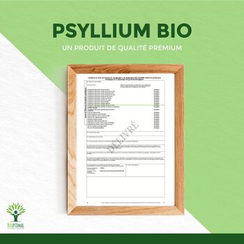 Psyllium Blond Bio - Complément alimentaire - Téguments - Digestion Transit Cholestérol - 320 mg de Poudre/Gélule - Fabriqué en France - Vegan - gélules 9