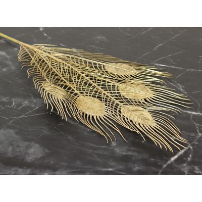 Juego de 5 plumas decorativas de pavo real, 30 x 2 x 82 cm, dorado, 765742