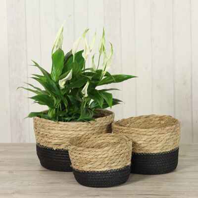 Seagrass basket set, round, 3 pieces, H: 11/13/15 cm, black/brown, 753640