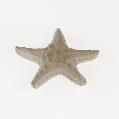 Estrella de mar de cerámica, 17 x 17 x 4,5 cm, gris, 733390