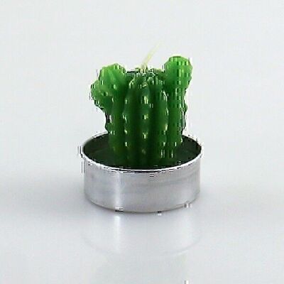 Tea light set cactus 6 pieces, 3.8 x 3.8 x 4.4 cm, green, 623479