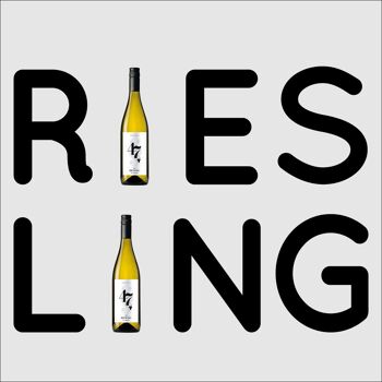 Paragraphe 47 RIESLING 4