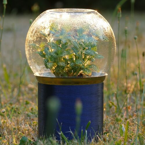 Terrariums - Pack de 12 modèles à choisir