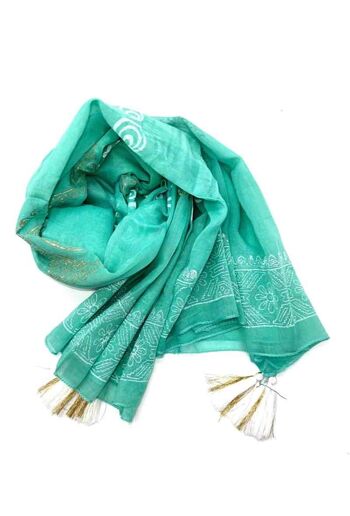 C1 foulards coton inde 10