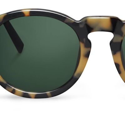 HIGH CONTRAST TORTOISE JORDAAN WITH CLASSICAL LENSES