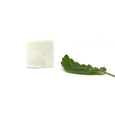 Dentifricio solido alla menta 18 G