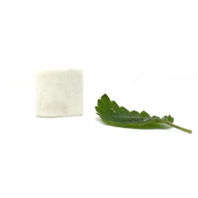 Solid toothpaste mint 18 G