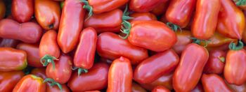 Tomates San Marzano d'Agro Sarnese Nocerino Dop Pelées Bio 520 g 3