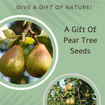 Vintage Pear-fect Birthday - Un cadeau de graines de poirier 2