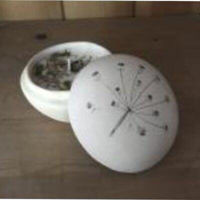 Un pot de bougie de conception de tête de graine d'allium de jardin