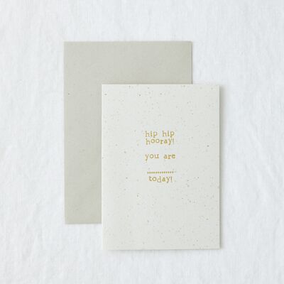 Hip Hip Hooray - Fill In Blank Eco-friendly Greeting Card