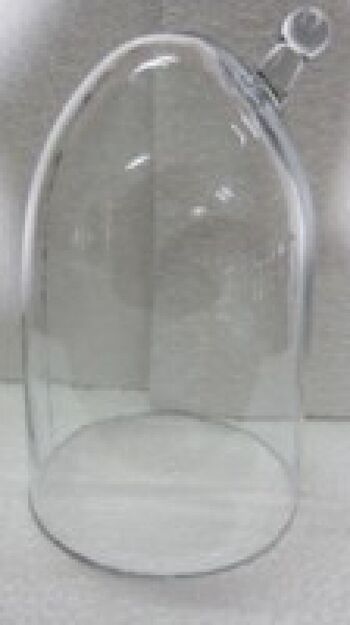 Cloche en verre clair grand bec