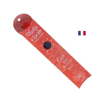 French natural incense_cistus 10 sticks