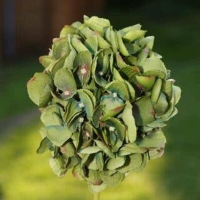 Stelo corto di ortensia verde scuro finto