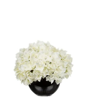 Hortensia faux blanc à tige courte 2