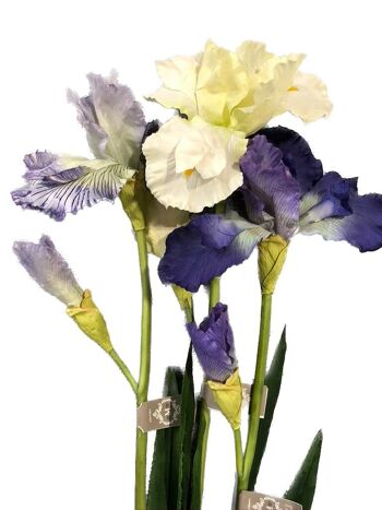Iris blanc artificiel 2