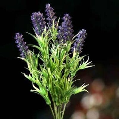 Mazzo di lavanda viola