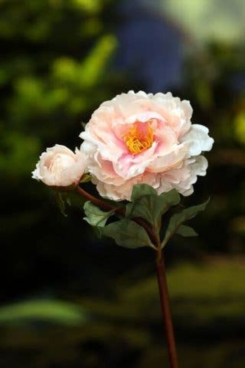 Artificial Light Pink Peony with Bud